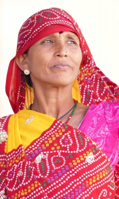 Sari Woman